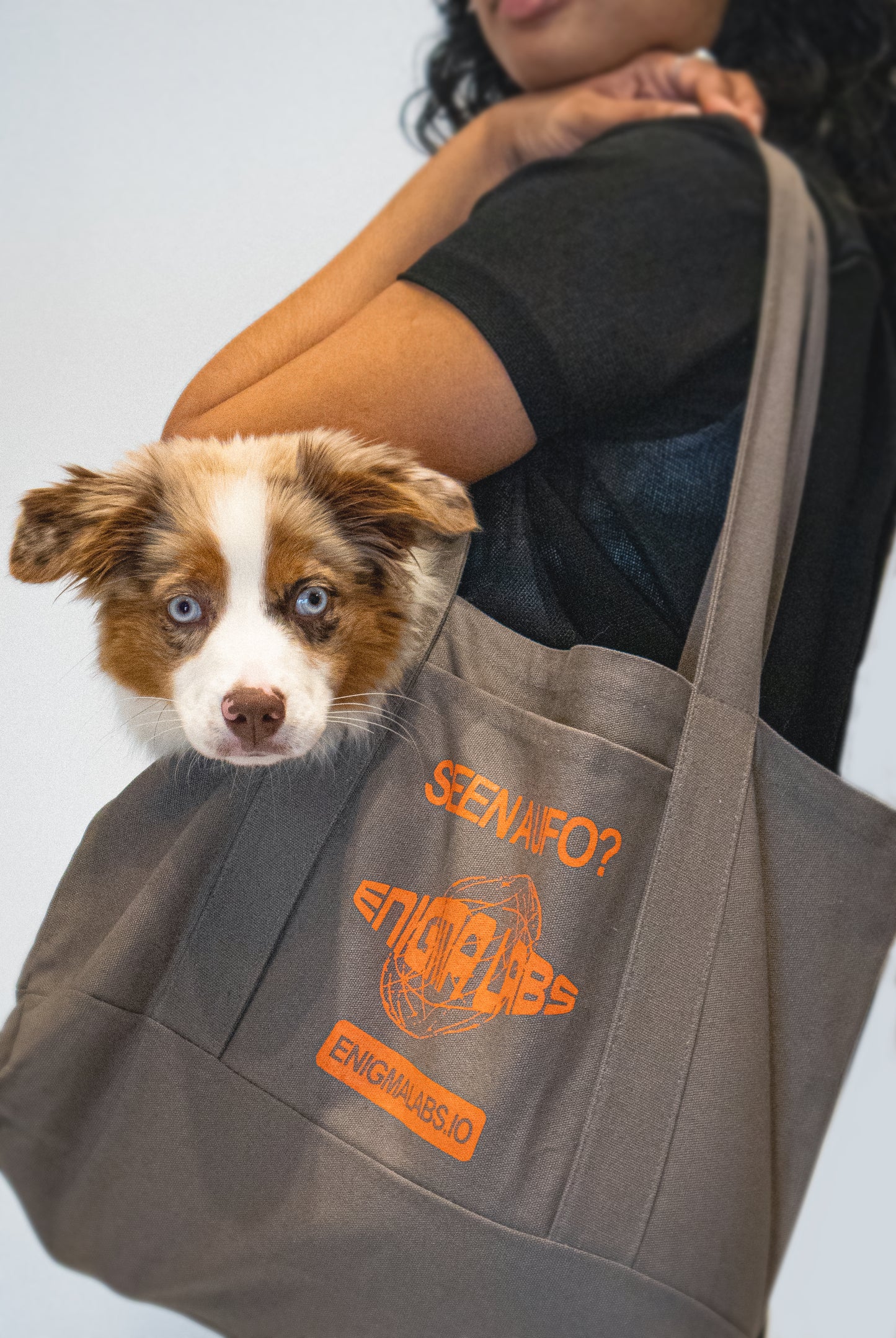 Seen a UFO? Tote Bag